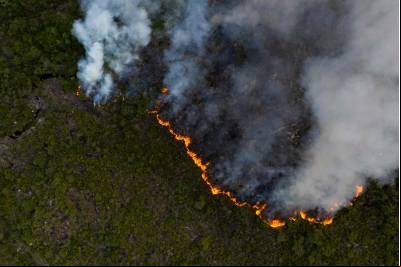 Código Florestal completa 10 anos com poucos avanços na área ambiental